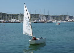 Vela 8
