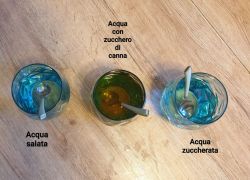 Scuola a distanza Vb 8