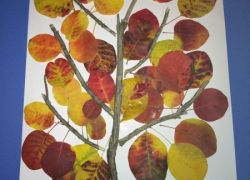 Scuola a distanza Vb 10