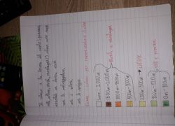 Scuola a distanza Vb 2