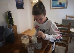 Scuola a distanza Vb 8