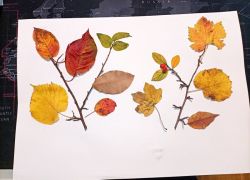 Scuola a distanza Vb 8