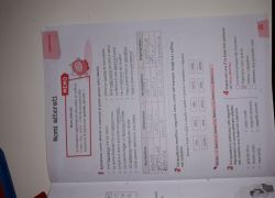 Scuola a distanza Vb 8