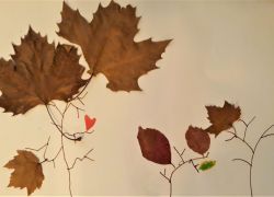 Scuola a distanza Vb 10