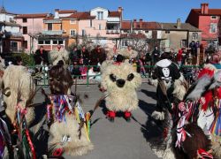 carnevale 8