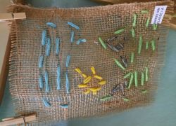 ghirigori continua 6