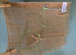 ghirigori continua 7