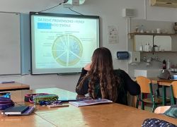 Alfabetizzazione fiscale 5