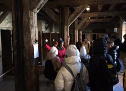 Giornata della memoria 4