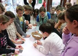 Giornata culturale 5