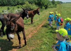 Girotondo amicizia 4