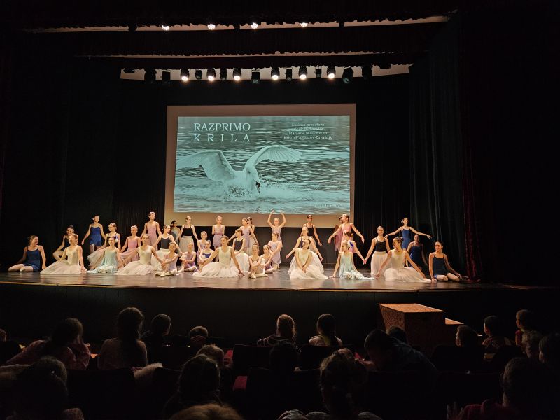 Giornata culturale delle classi inferiori - danza classica