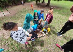 Prvine primo giorno 2