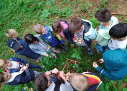 Prvine primo giorno 7