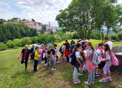 San daniele del carso 4