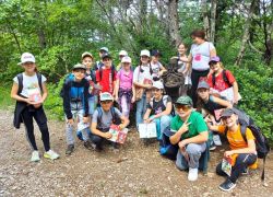 San daniele del carso 5