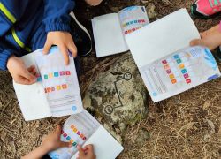 San daniele del carso 7