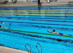 delfini2