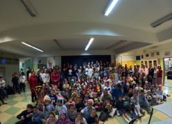 pigia4
