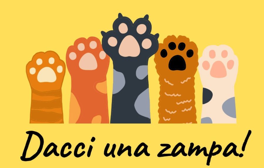 Dacci una zmapa!