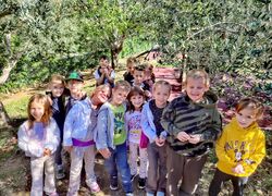 IMG 20261013 184455